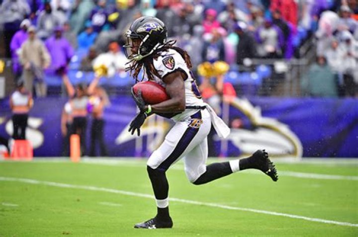 Who Is Alex Collins? 5 Things On Football Player Dead At 28 – Hollywood Life